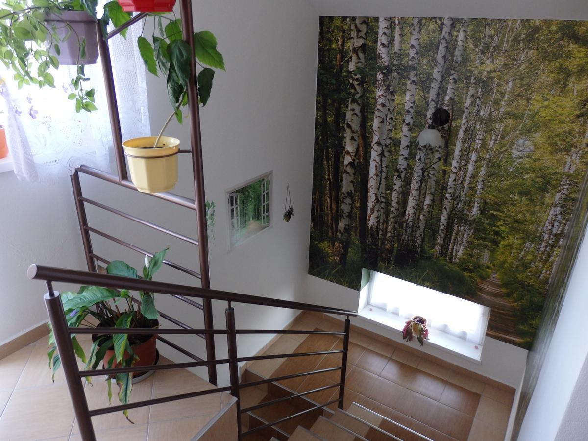 Pivnicka Pod Cachtickym Hradom Hotell Čachtice Eksteriør bilde